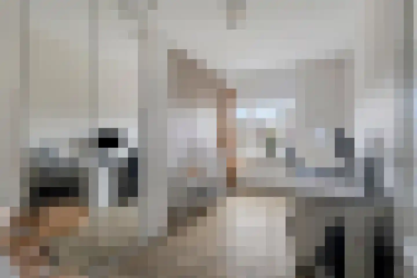 Bijdorplaan 82 Zoetermeer thumbnail 27