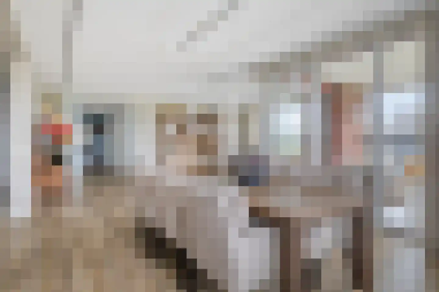 Bijdorplaan 82 Zoetermeer thumbnail 4