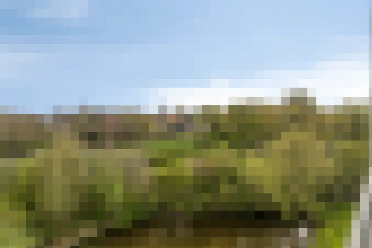 Bijdorplaan 82 Zoetermeer thumbnail 7