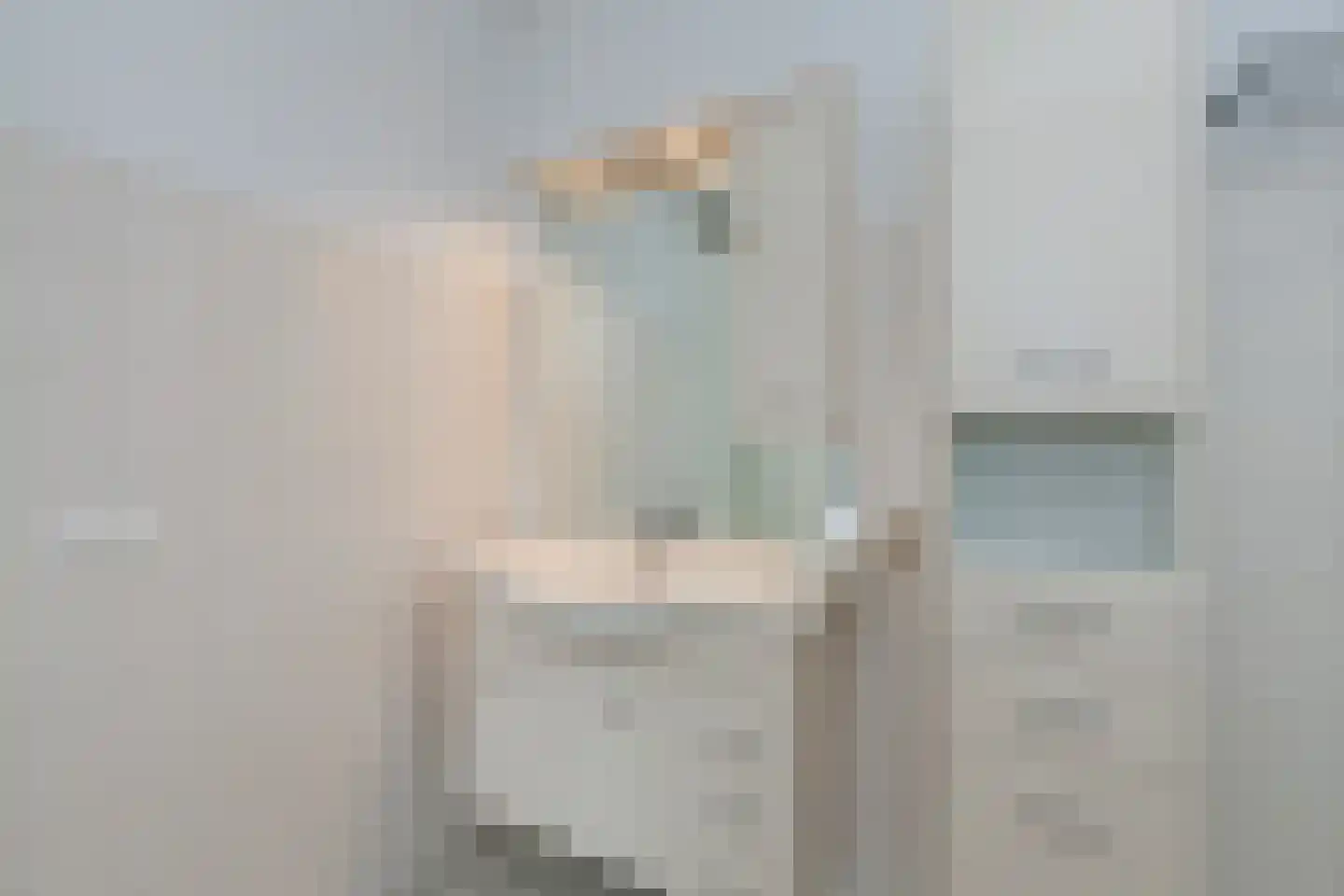 Bijdorplaan 87 Zoetermeer thumbnail 20