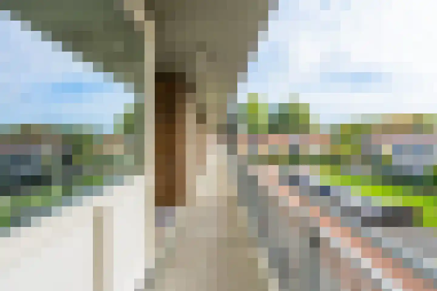 Bijdorpstraat 11 Katwijk thumbnail 10