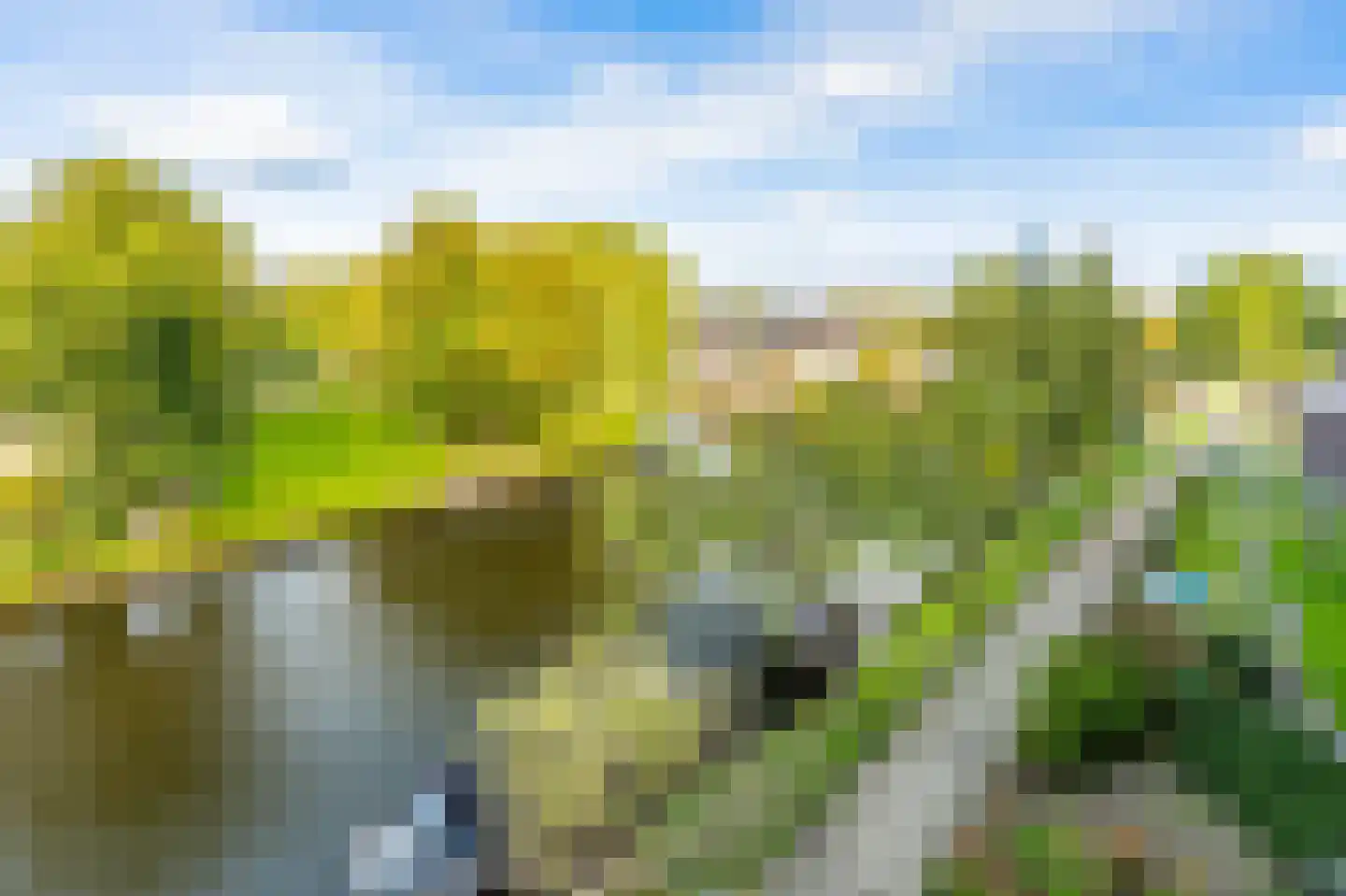 Bijdorpstraat 11 Katwijk thumbnail 26