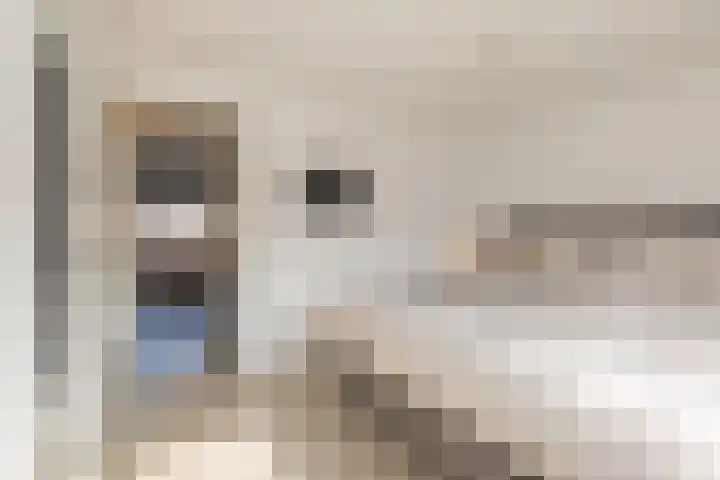 Bijdorpstraat 14 Noordwijk thumbnail 20