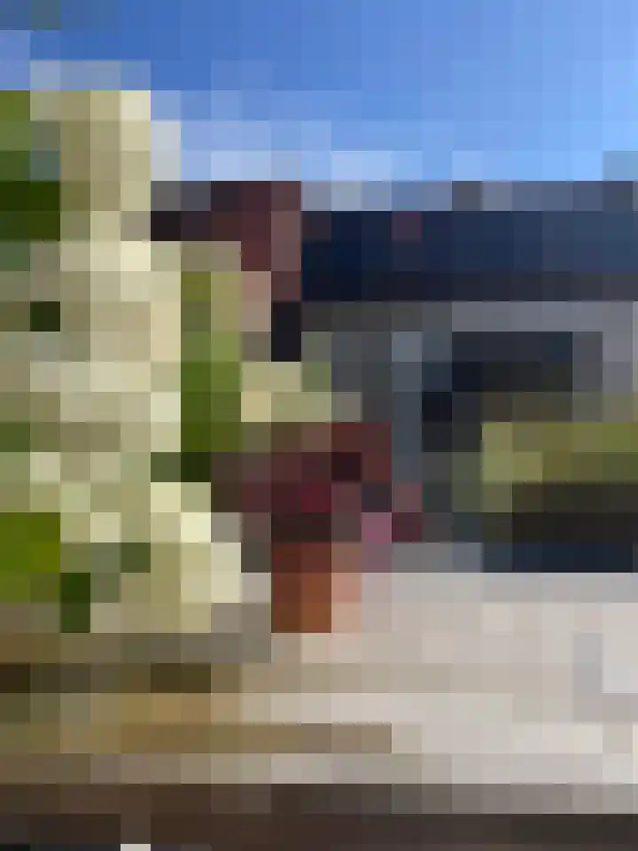 Bijdorpstraat 14 Noordwijk thumbnail 29