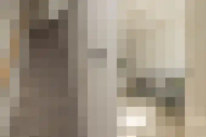 Bijdorpstraat 14 Noordwijk thumbnail 5
