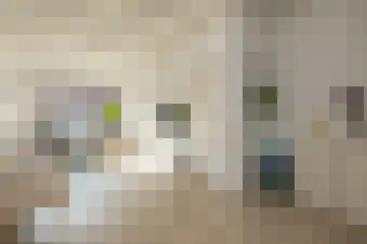 Bijdorpstraat 14 Noordwijk thumbnail 7