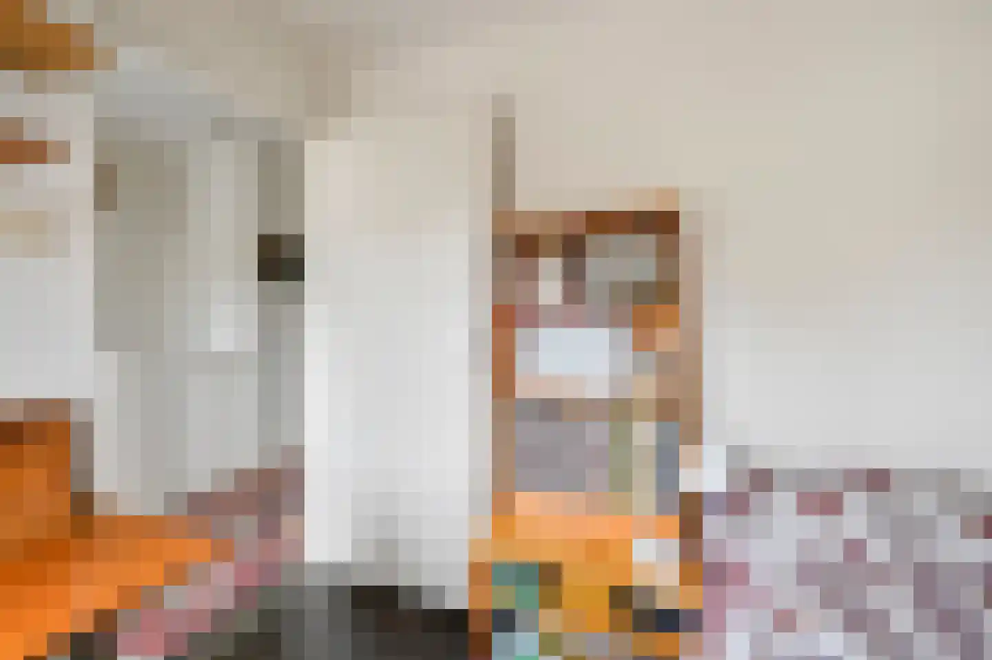 Bijdorpstraat 42 Voorschoten thumbnail 22