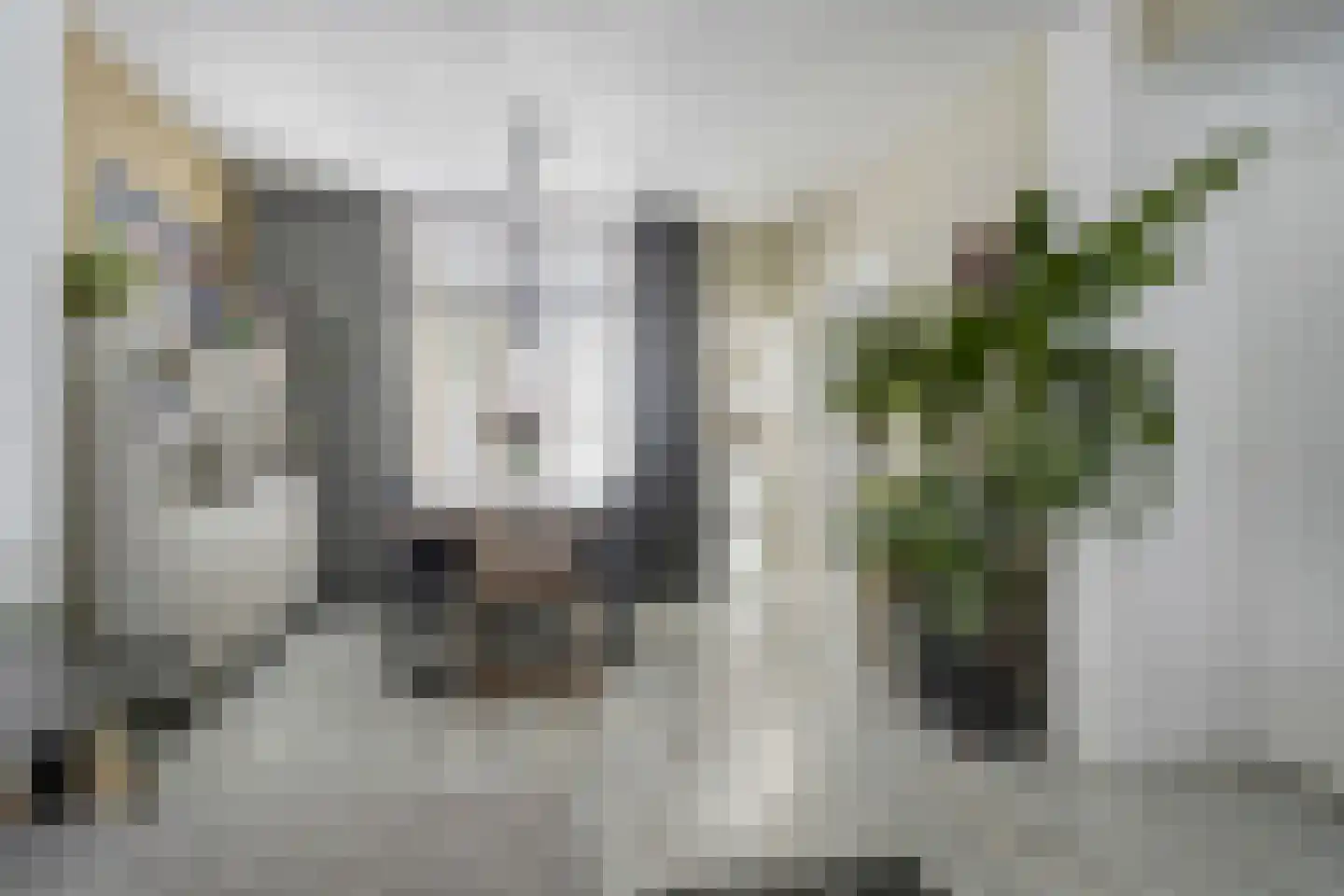 Bijdorpstraat 6 Sassenheim thumbnail 10