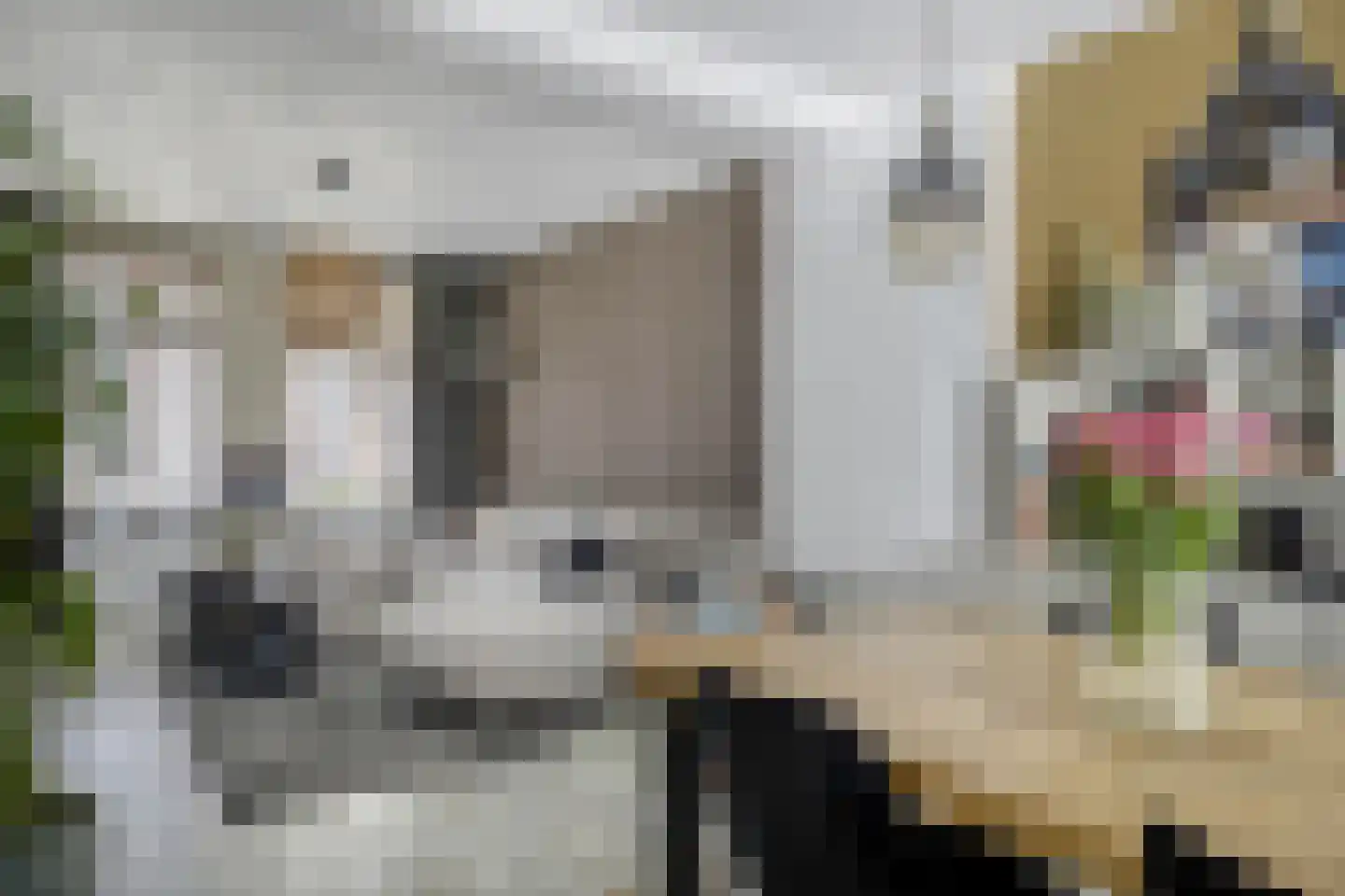 Bijdorpstraat 6 Sassenheim thumbnail 12