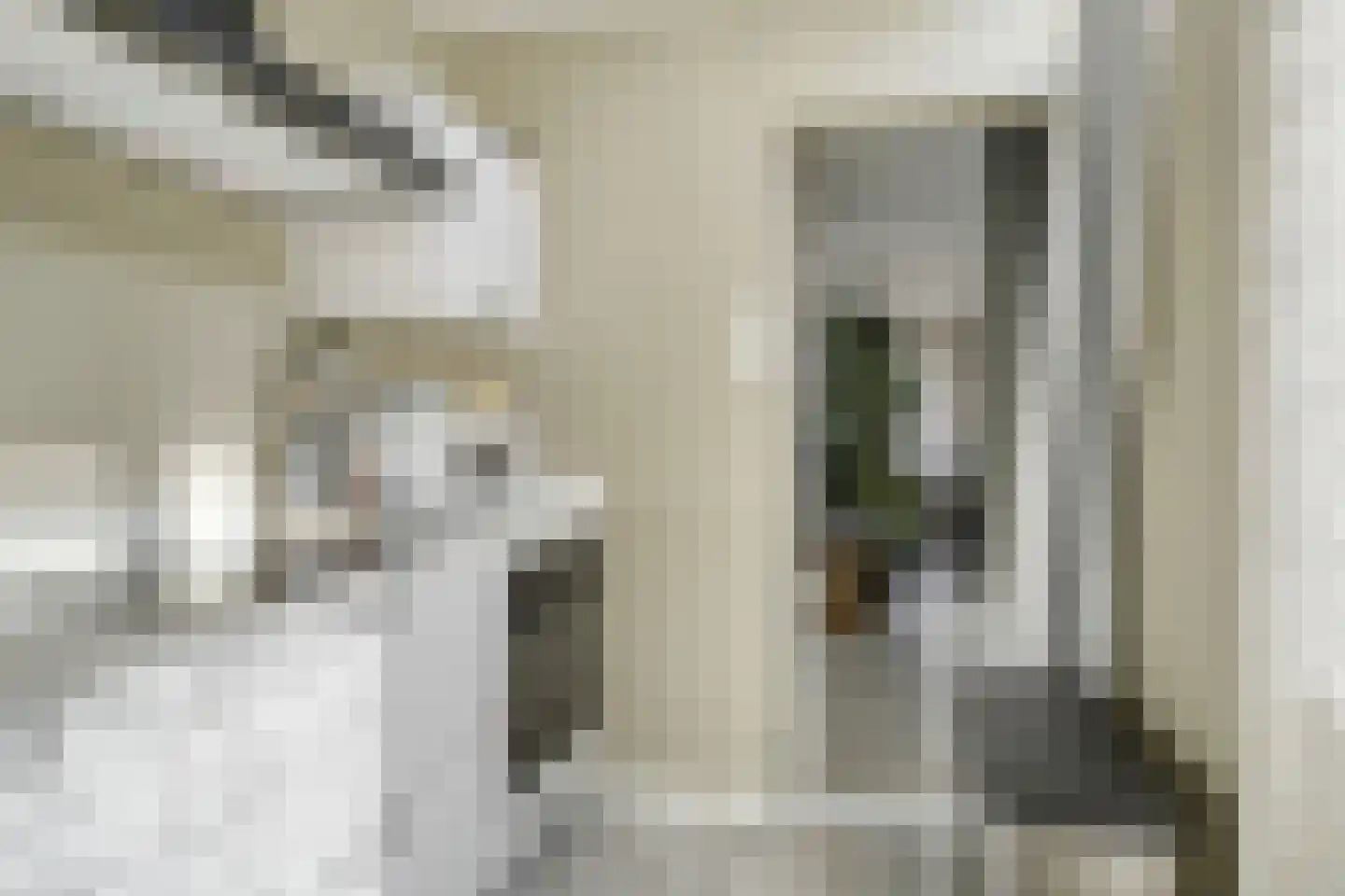 Bijdorpstraat 6 Sassenheim thumbnail 16