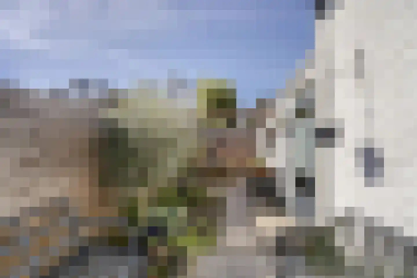 Bijdorpstraat 6 Sassenheim thumbnail 17