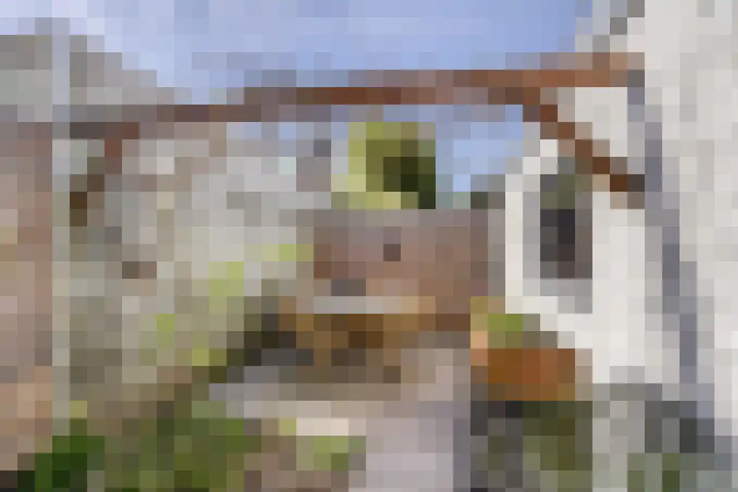 Bijdorpstraat 6 Sassenheim thumbnail 18