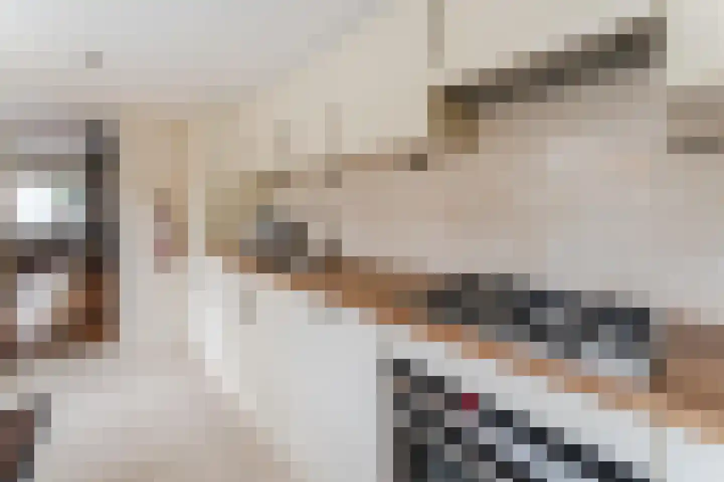 Bijdorpstraat 6 Voorschoten thumbnail 10