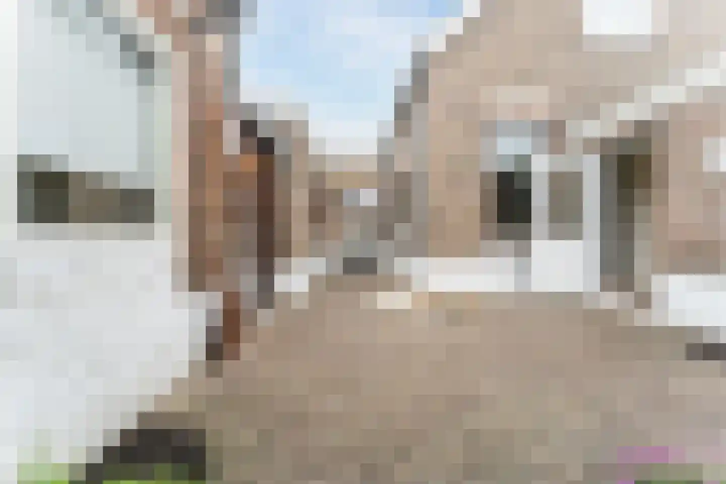 Bijdorpstraat 6 Voorschoten thumbnail 35
