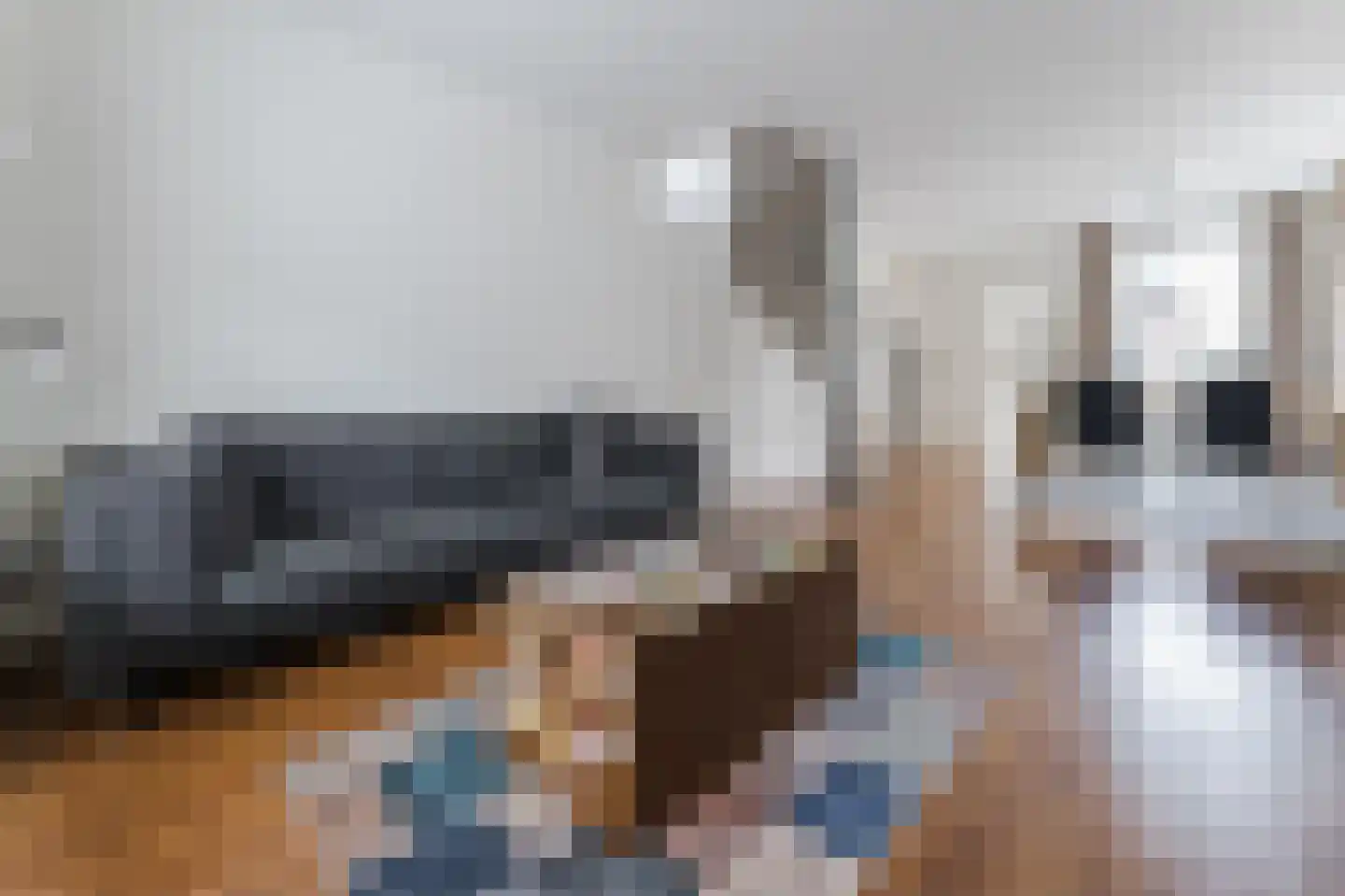 Bijdorpstraat 6 Voorschoten thumbnail 6