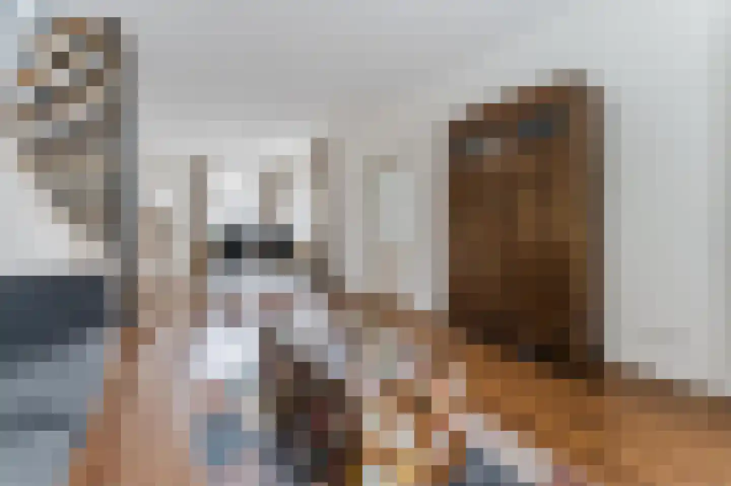 Bijdorpstraat 6 Voorschoten thumbnail 7