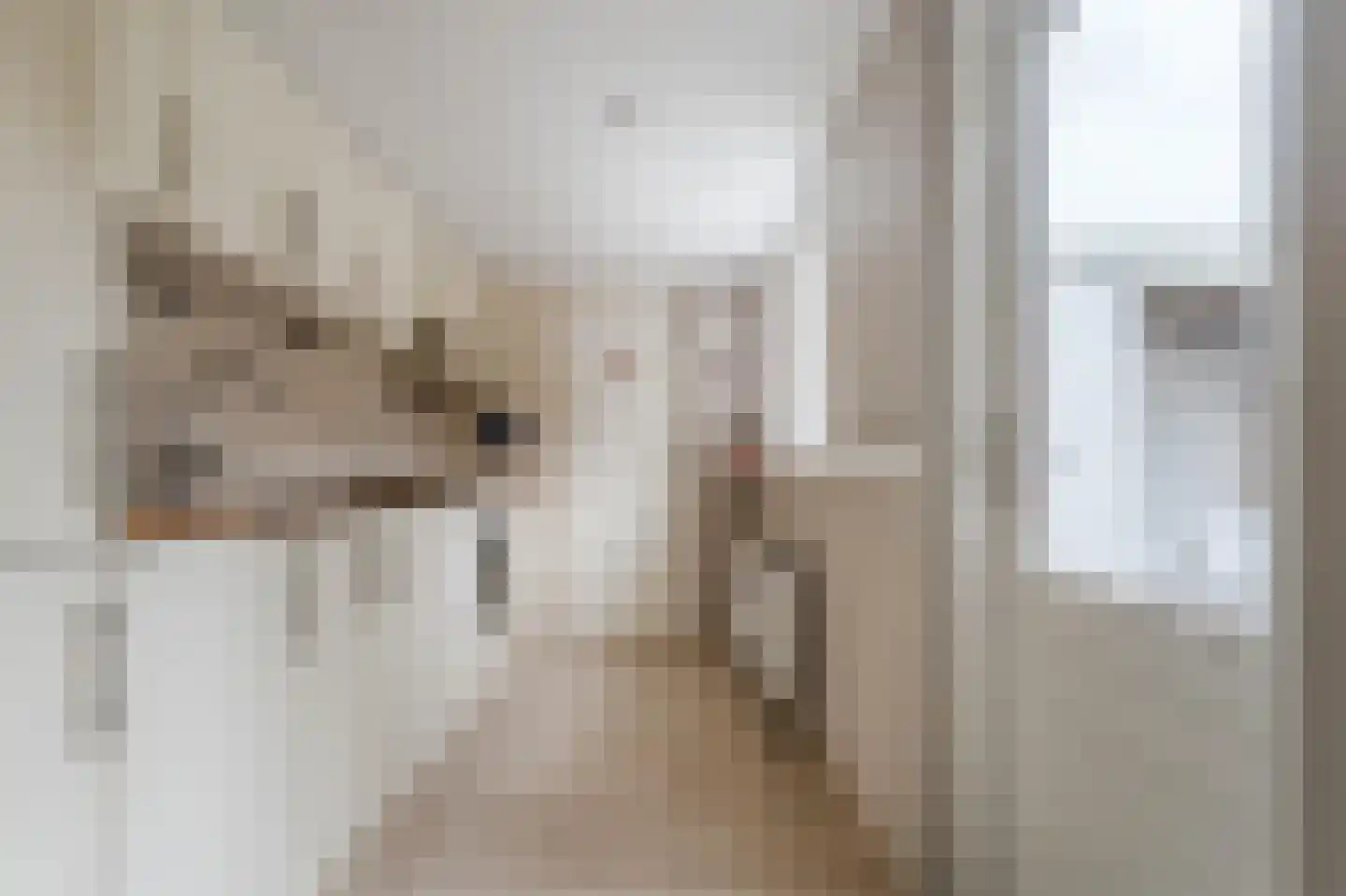 Bijdorpstraat 6 Voorschoten thumbnail 8