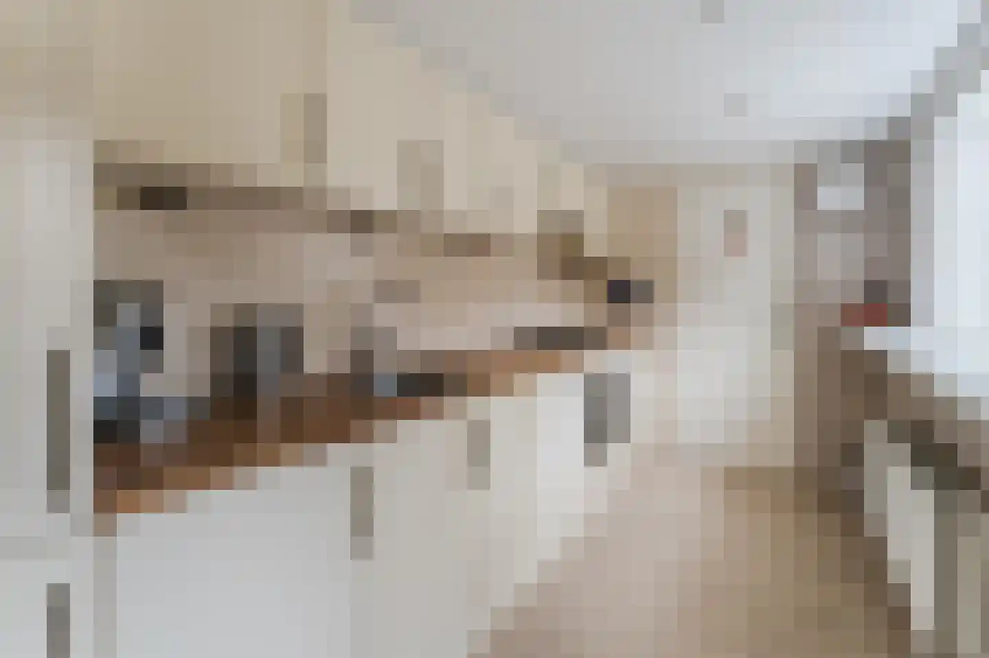 Bijdorpstraat 6 Voorschoten thumbnail 9
