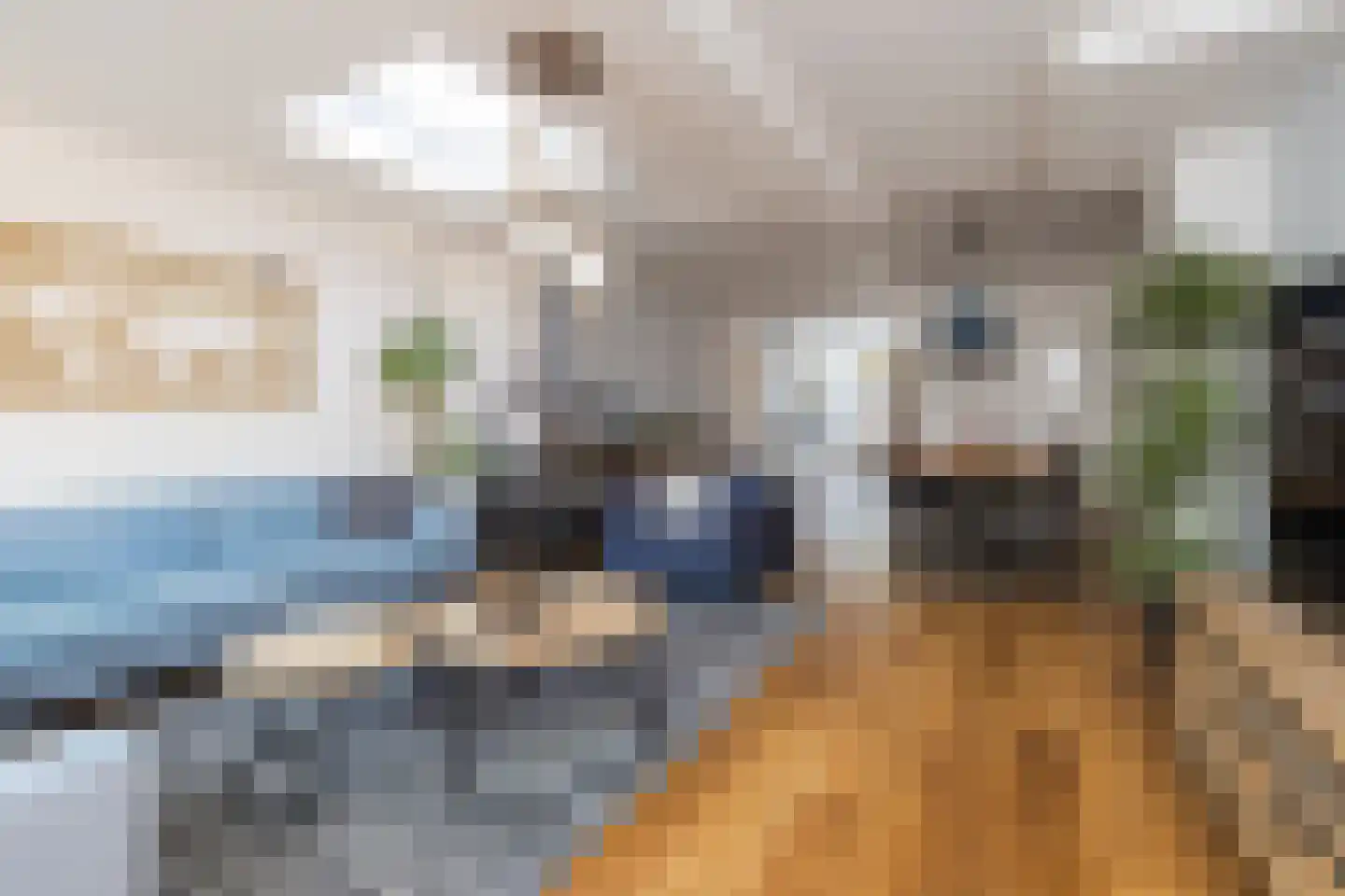 Bijdorpstraat 7 Sassenheim thumbnail 11