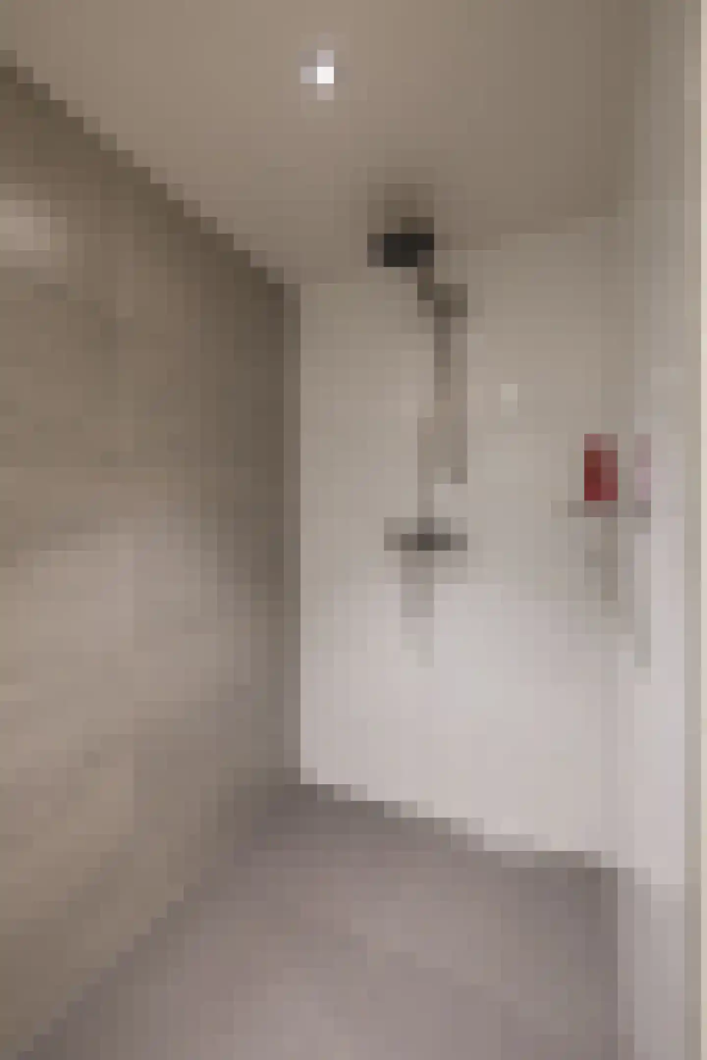 Bijdorpstraat 7 Sassenheim thumbnail 32