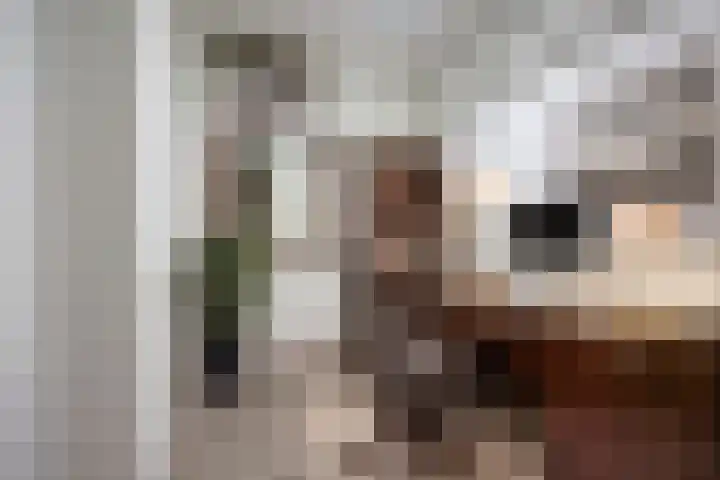 Bijendans 24 Capelle aan den IJssel thumbnail 20