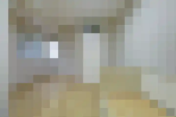 Bijendans 24 Capelle aan den IJssel thumbnail 32