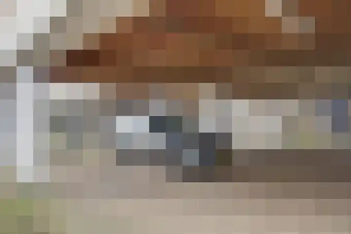 Bijendans 24 Capelle aan den IJssel thumbnail 39