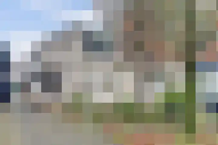 Bijendans 24 Capelle aan den IJssel thumbnail 40