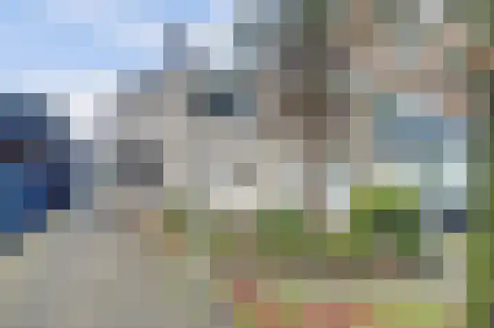 Bijendans 24 Capelle aan den IJssel thumbnail 42