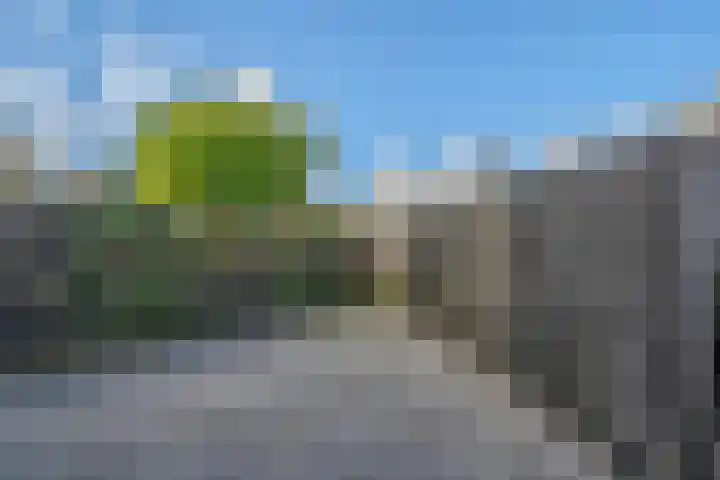 Bijendans 32 Capelle aan den IJssel thumbnail 10