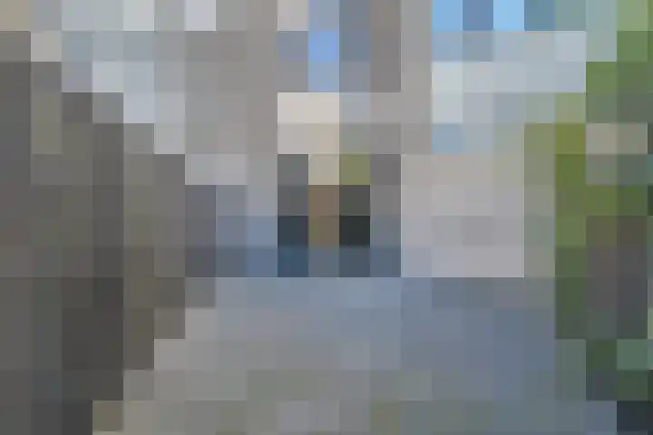 Bijendans 32 Capelle aan den IJssel thumbnail 11