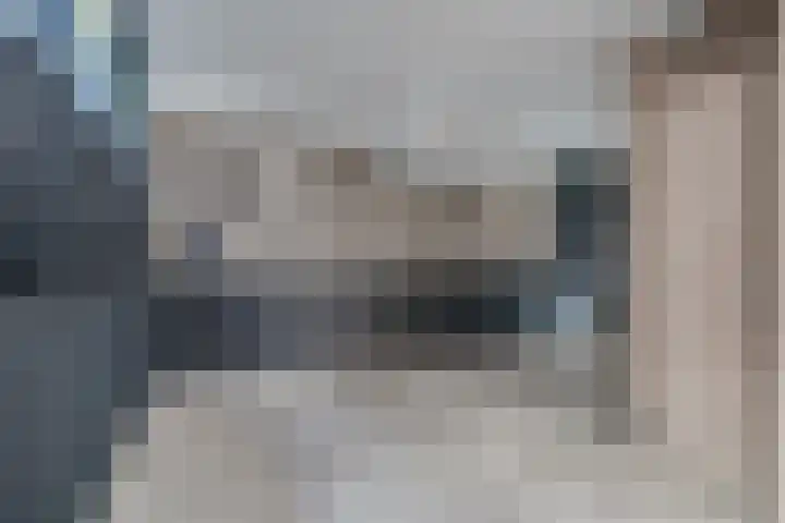 Bijendans 32 Capelle aan den IJssel thumbnail 14