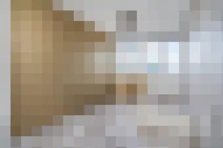 Bijendans 32 Capelle aan den IJssel thumbnail 18