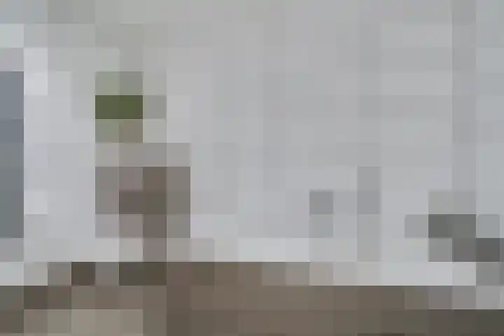 Bijendans 32 Capelle aan den IJssel thumbnail 21