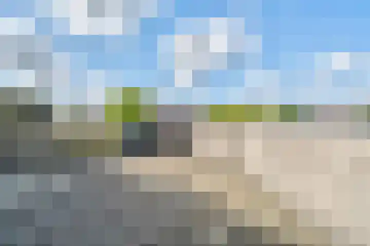Bijendans 32 Capelle aan den IJssel thumbnail 23