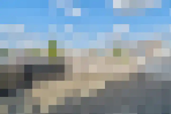 Bijendans 32 Capelle aan den IJssel thumbnail 24
