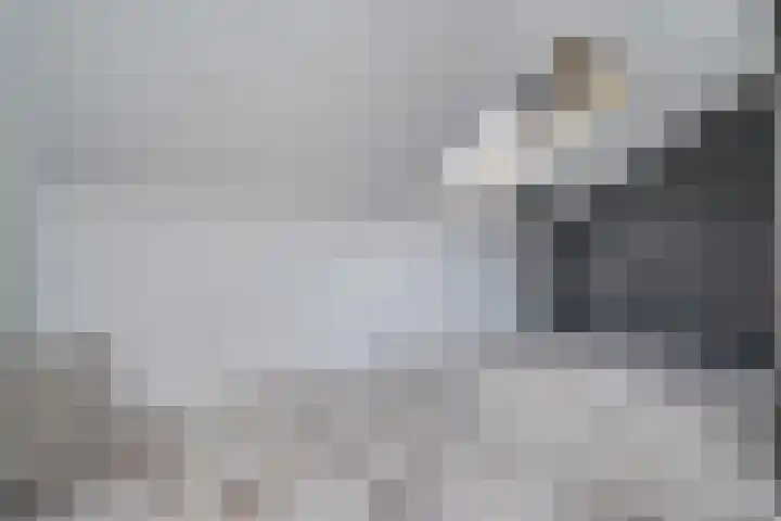 Bijendans 32 Capelle aan den IJssel thumbnail 27