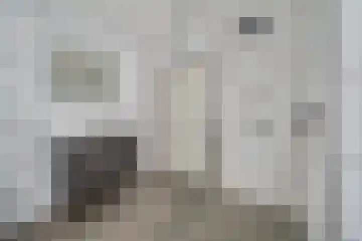 Bijendans 32 Capelle aan den IJssel thumbnail 4