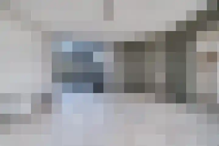 Bijendans 32 Capelle aan den IJssel thumbnail 6
