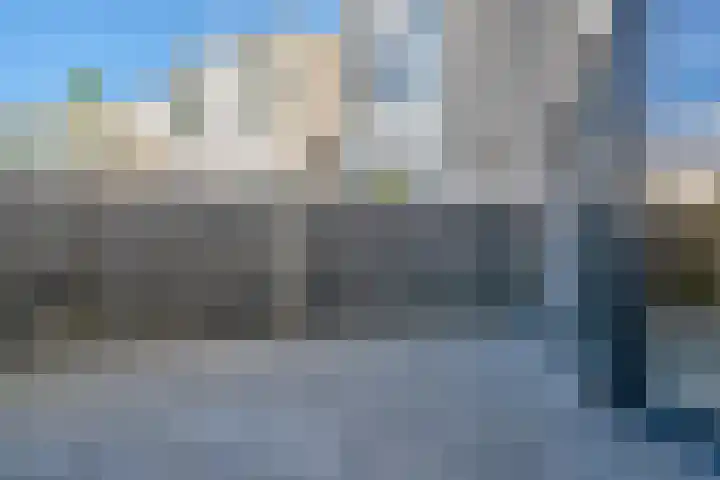 Bijendans 32 Capelle aan den IJssel thumbnail 8