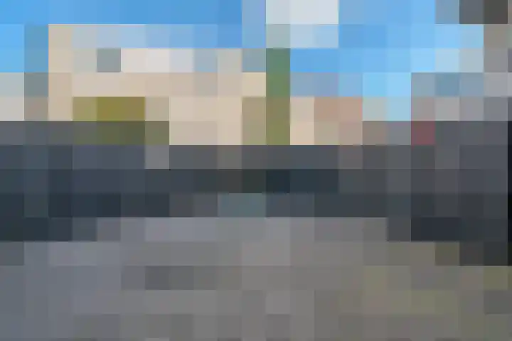 Bijendans 32 Capelle aan den IJssel thumbnail 9