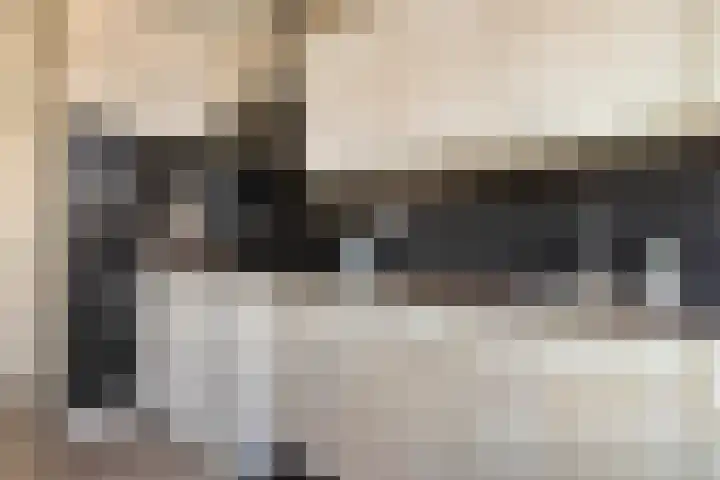 Bijendonk 17 Maasbree thumbnail 11