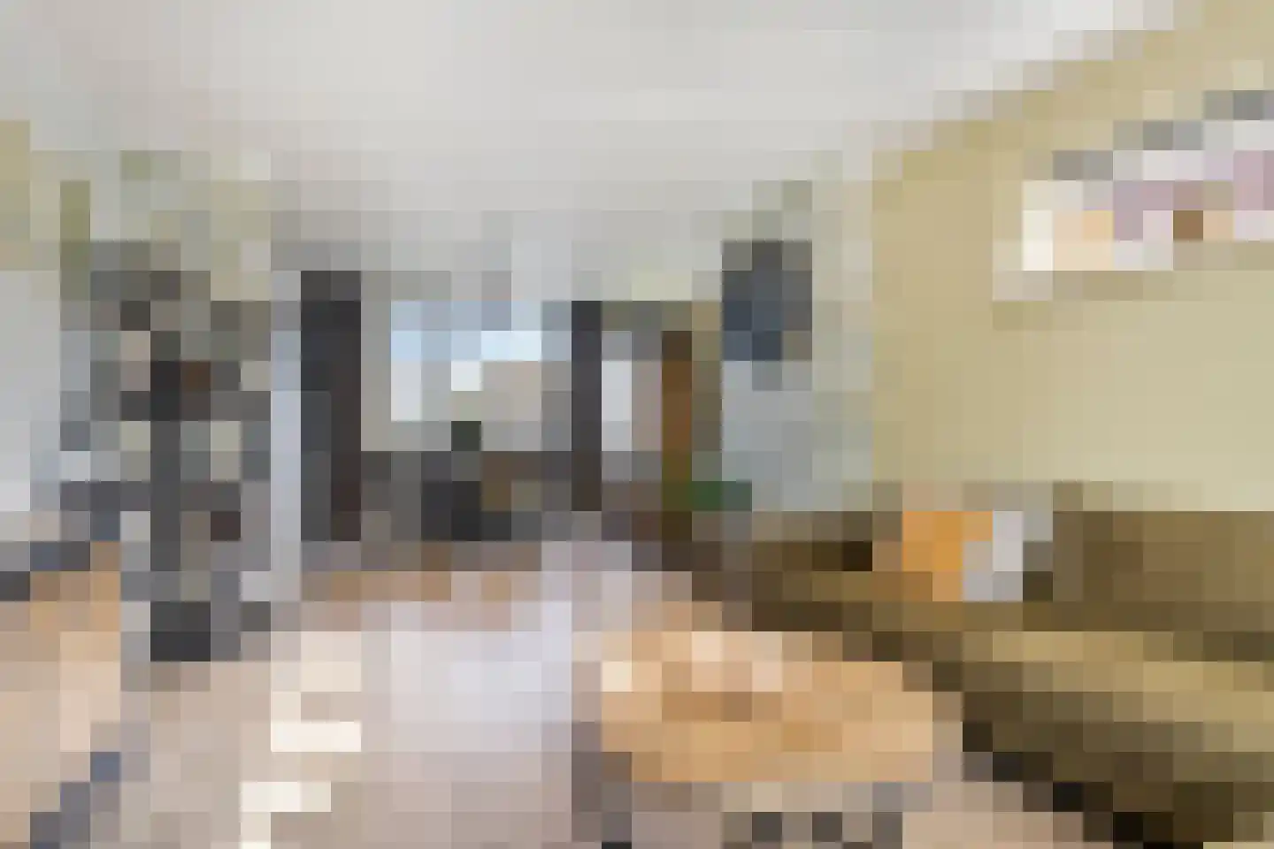 Bijendonk 17 Maasbree thumbnail 13