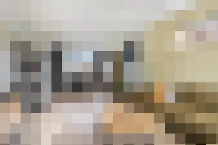 Bijendonk 17 Maasbree thumbnail 13