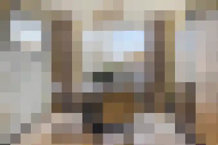 Bijendonk 17 Maasbree thumbnail 15