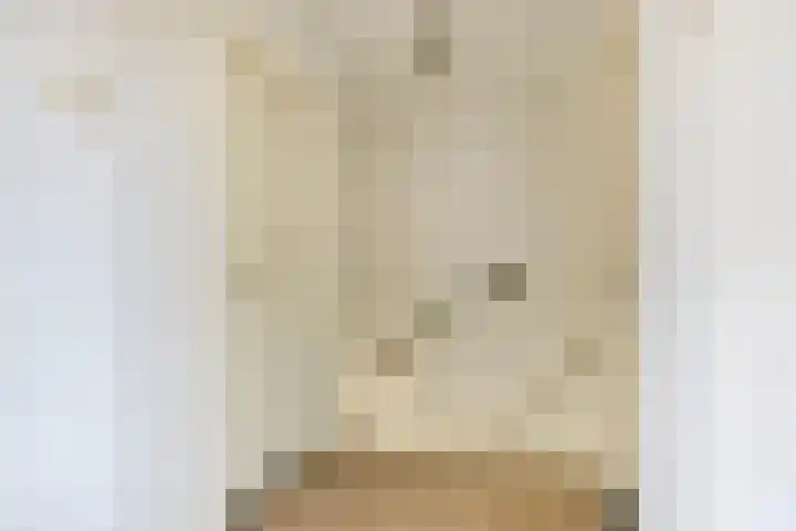 Bijendonk 17 Maasbree thumbnail 16