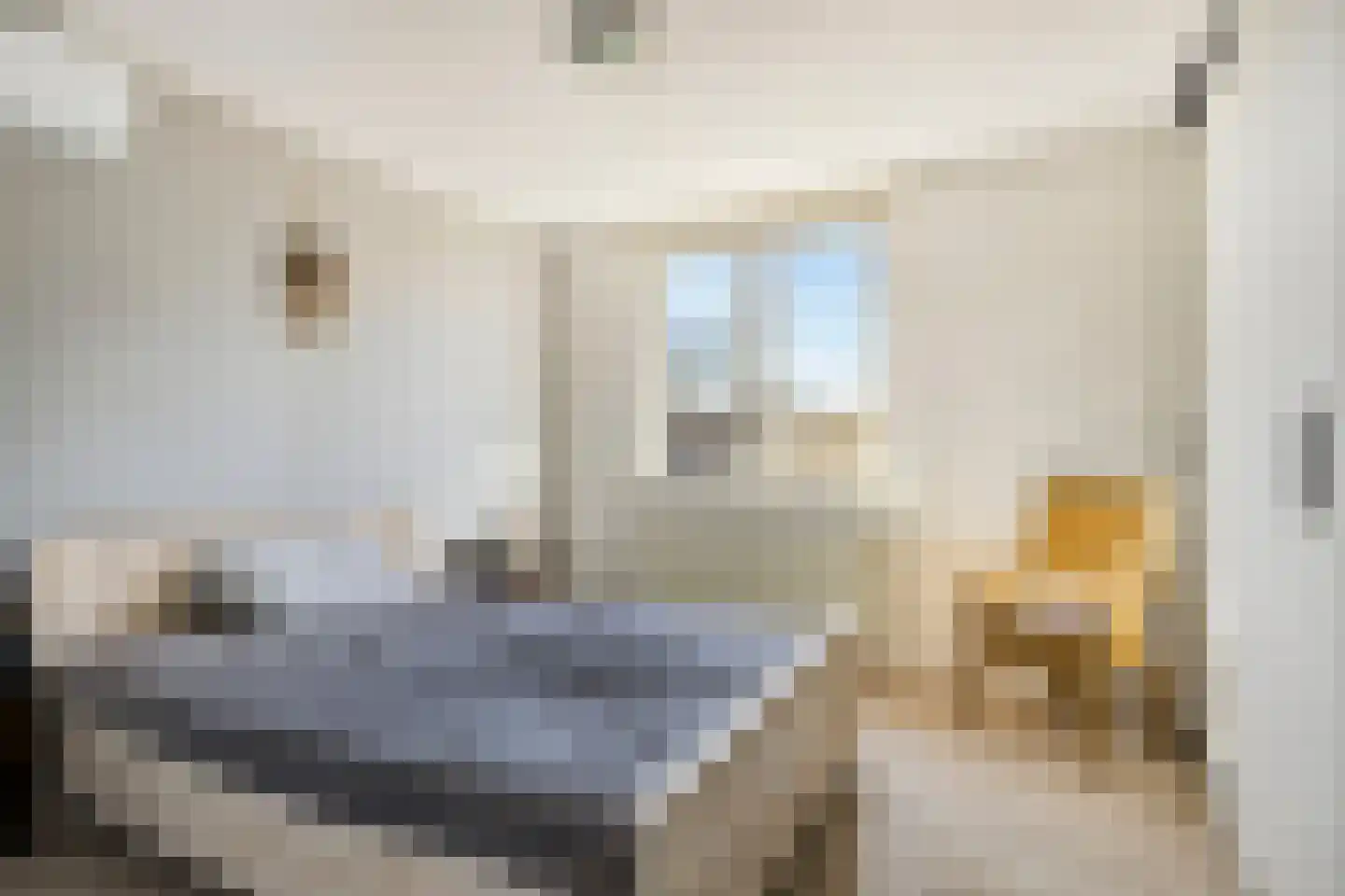 Bijendonk 17 Maasbree thumbnail 17