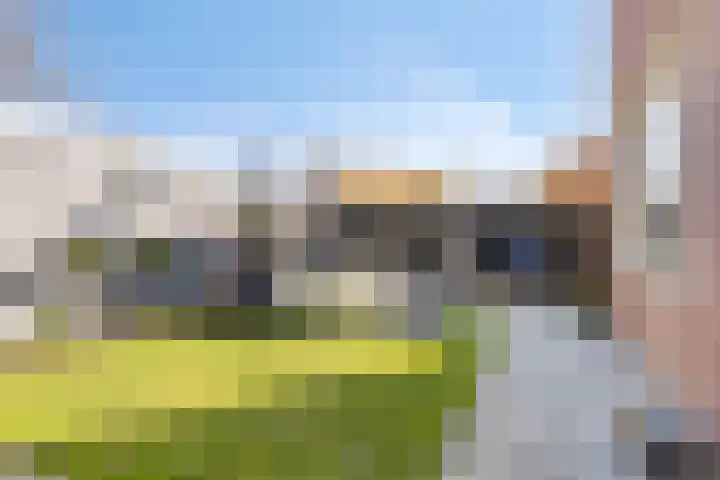 Bijendonk 17 Maasbree thumbnail 26