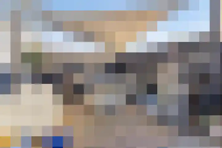Bijendonk 17 Maasbree thumbnail 29