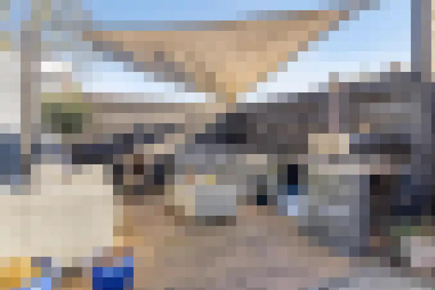 Bijendonk 17 Maasbree thumbnail 29